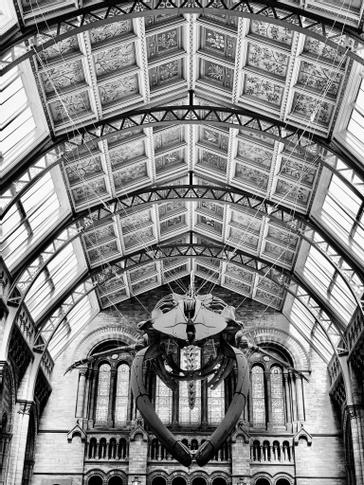 Seraphine Hammersmith | London | Gallery 36