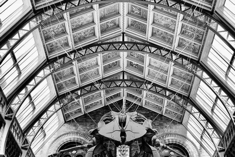 Seraphine Hammersmith | London | 2