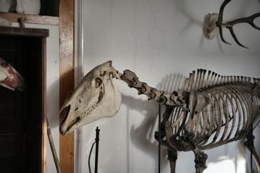 Seraphine Hammersmith | London | Gallery 30