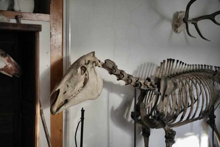 Seraphine Hammersmith | London | 7